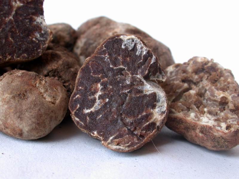 Breve escursione sul Monte Amiata